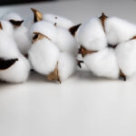 debc1467-f1d6-4447-a12e-b767febd76cc